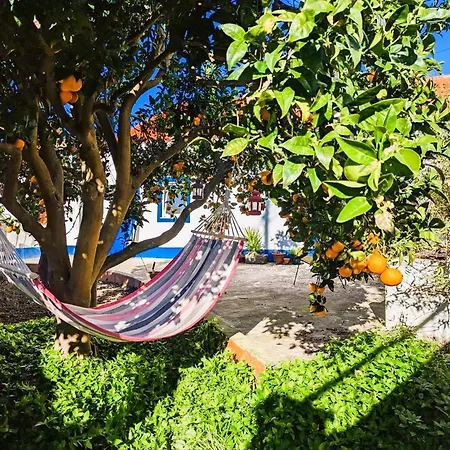 Cozy 3 Bedroom Home - Close To Beach Lourinha  Exterior photo