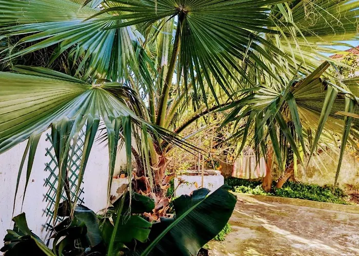 Cozy 3 Bedroom Home - Close To Beach