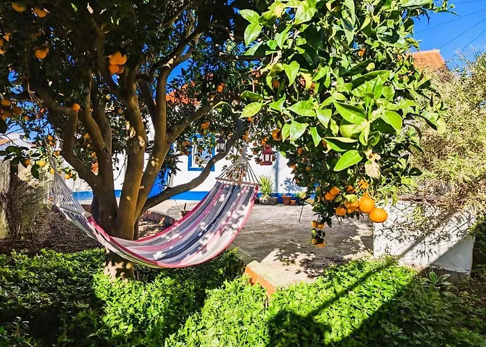 Cozy 3 Bedroom Home - Close To Beach