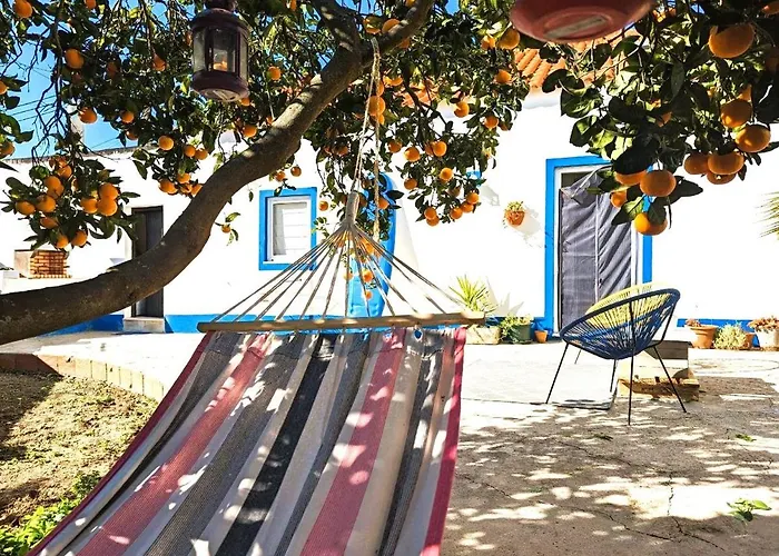 Cozy 3 Bedroom Home - Close To Beach