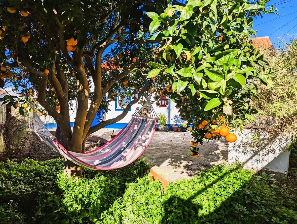 Cozy 3 Bedroom - Close To Lourinha (Lisbon)